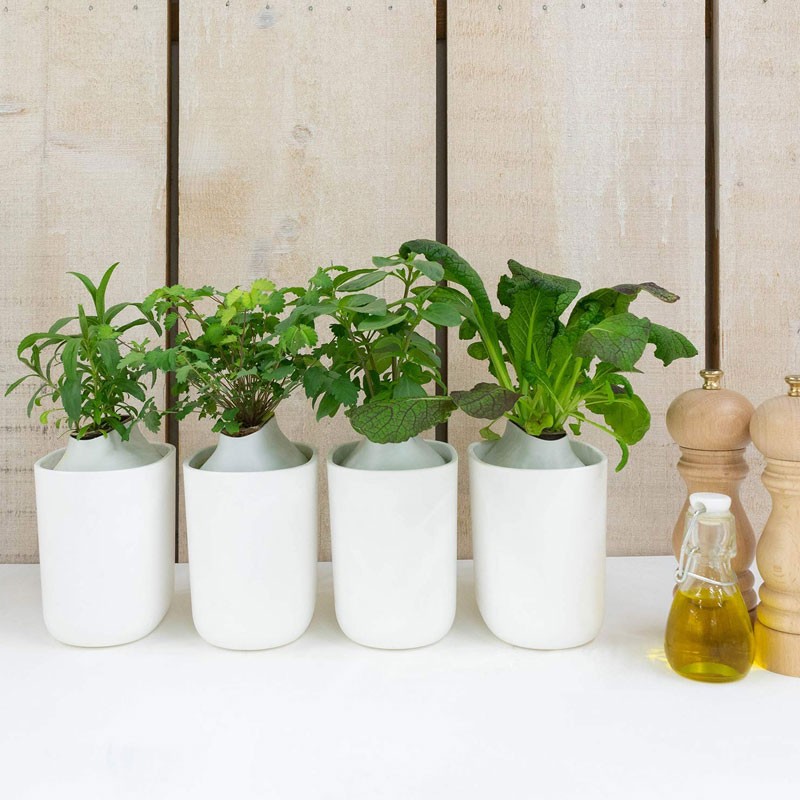 SET VAN 4 CAPSULES VERRASSING VAN DE CHEF
