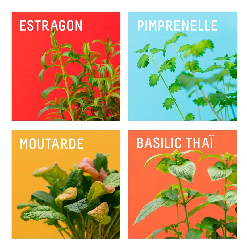 COFFRET 4 CAPSULES SURPRISE DU CHEF