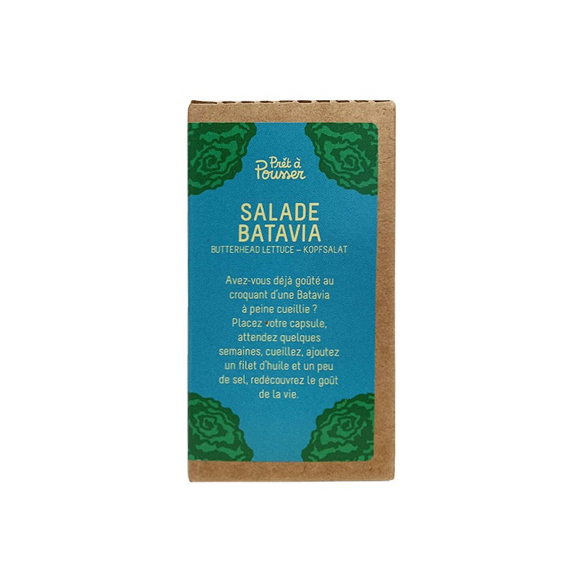 Prêt à pousser - Cápsula de salada Batavia