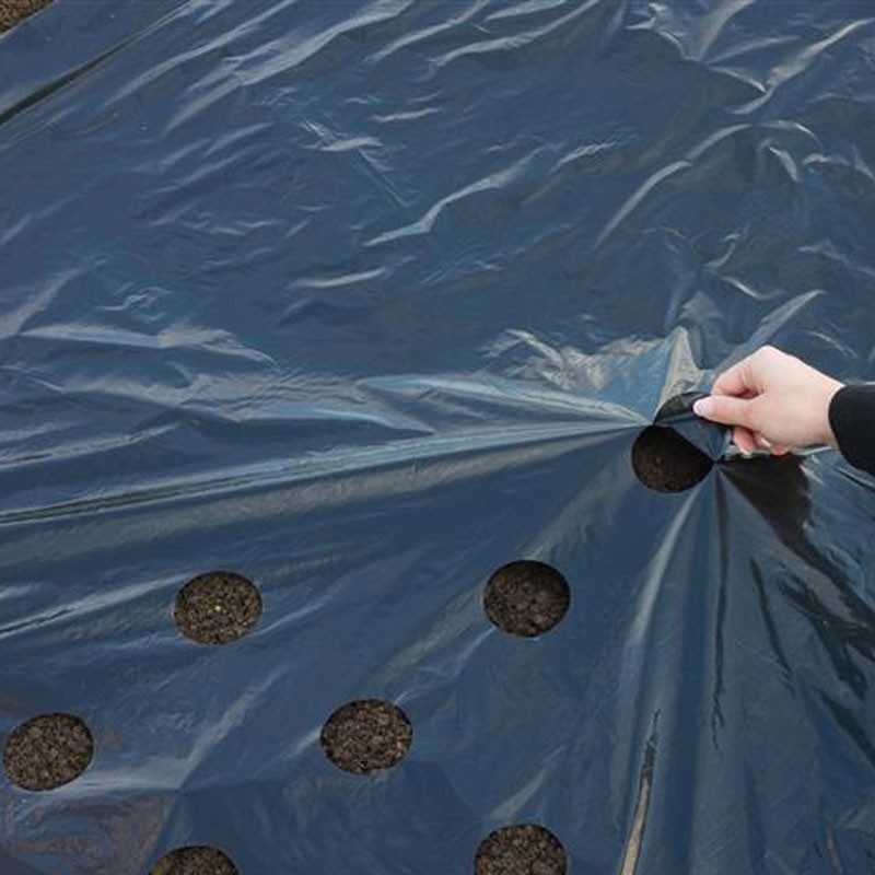 6030273 UNIVERSELE MULCH FOLIE ZWART 20MIC 490XDIAM 60MM 1.4X10M