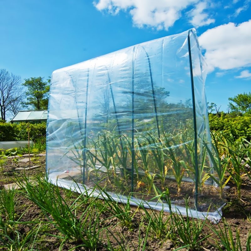 6030216 GREEN PLASTIC STEEL HOOP FOR HIGH TUNNEL TOMATO H180