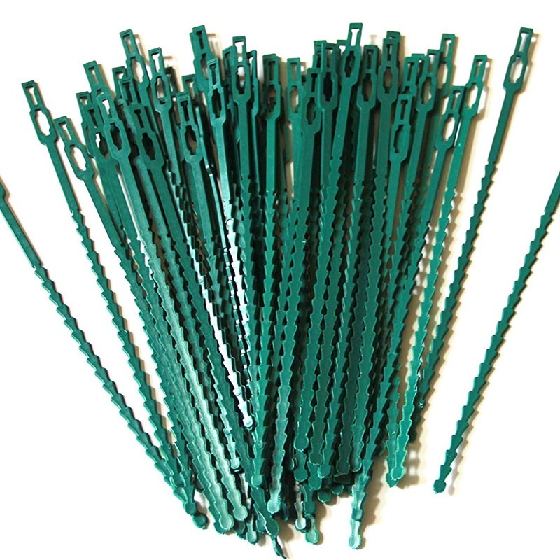 Nature - Lien universel de tuteurage en PE vert 17 cm - 40 liens