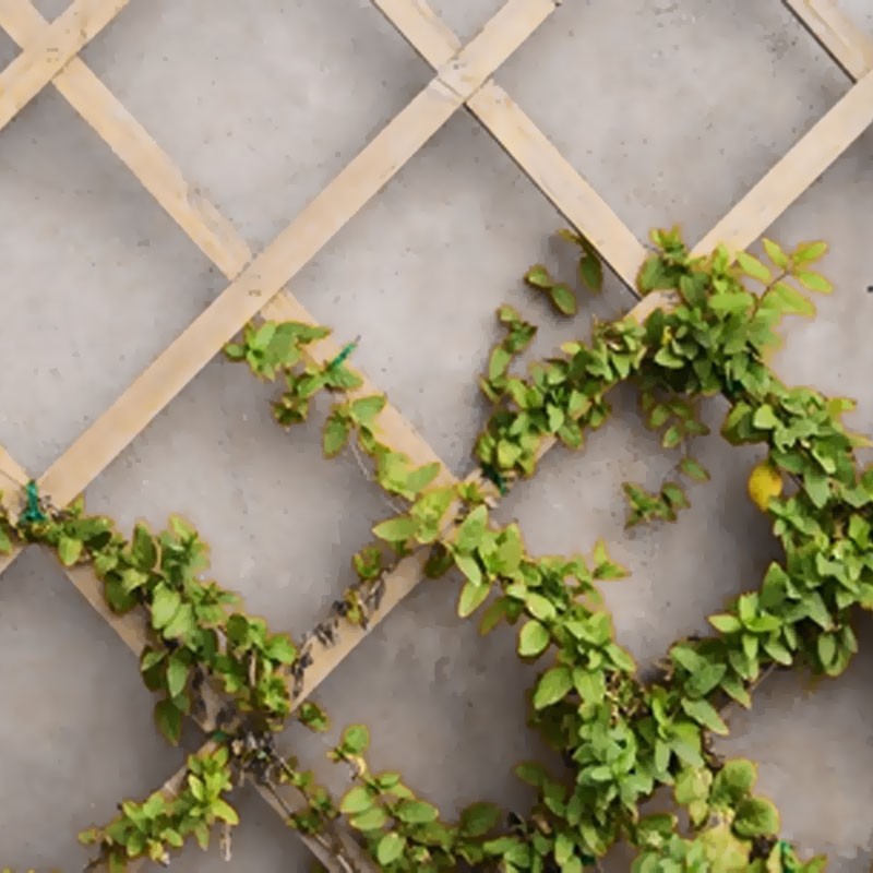 6041703 EXPANDABLE NATURAL WOOD LATTICE 100X200CM