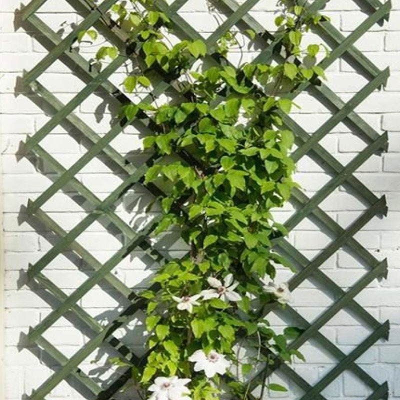 6041702 ESPALDERA DE MADERA EXTENSIBLE VERDE 50X150CM