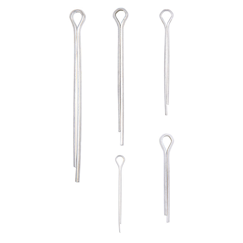 Ribitech - Lot 555 Splinte in einer Schatulle