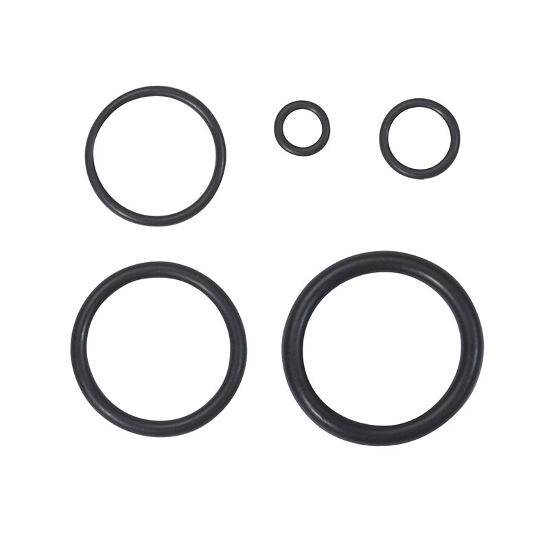 Ribitech - 225 O-ring d'oro in una scatola