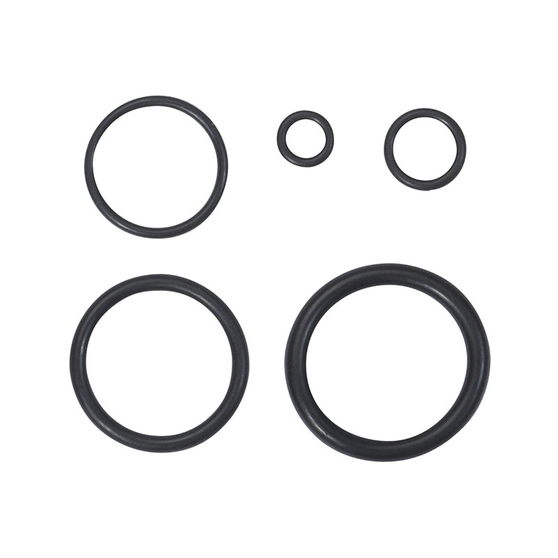 Ribitech - Lotto 419 O-ring in oro in una scatola