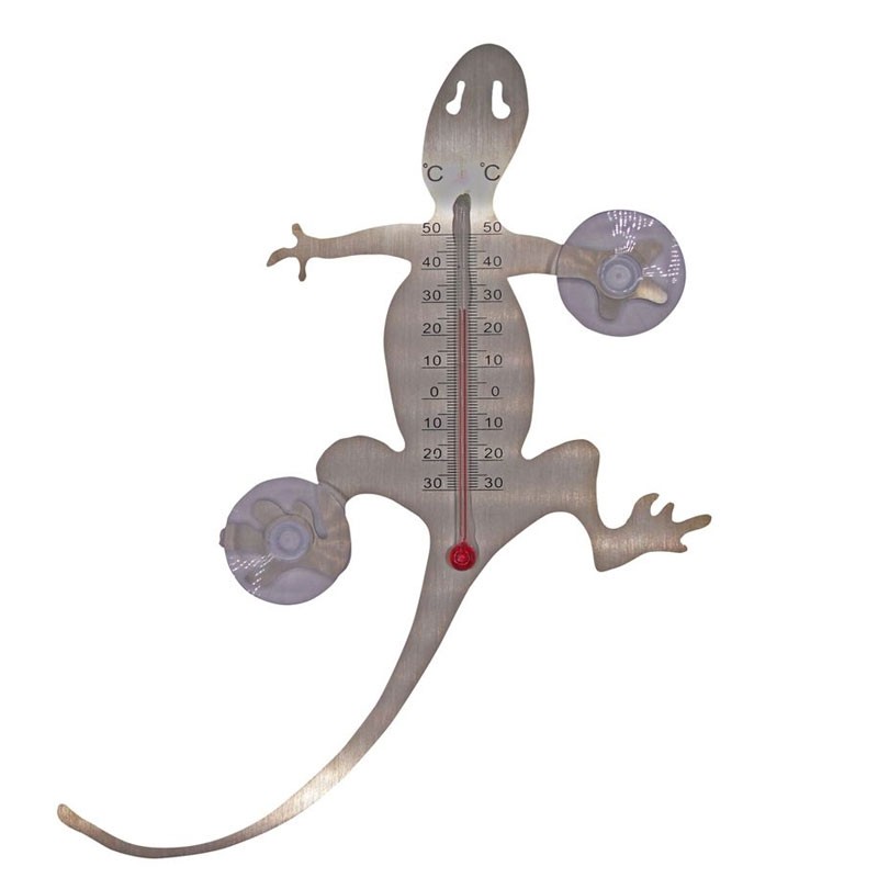 Nature - Thermométre extérieur - Salamandre ventouse