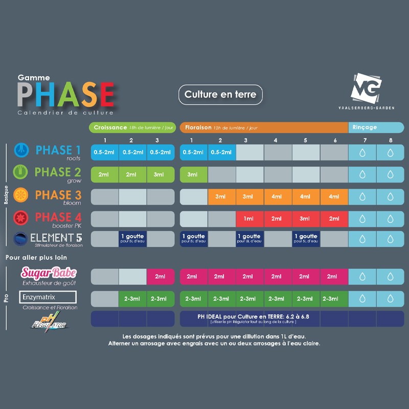 FASE DEL PAQUETE DE INICIO DE VAALSERBERG