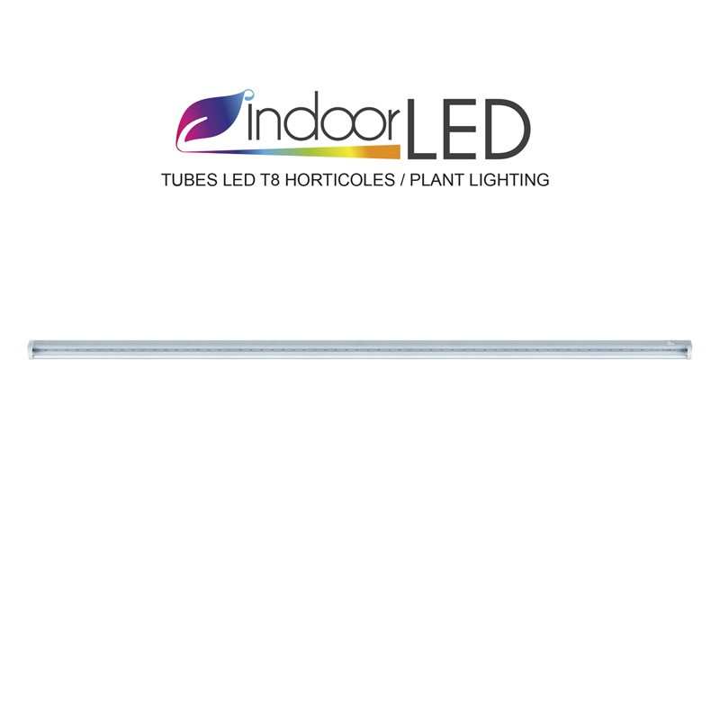 INDOORLED RÖHRE T8 LED GARTENBAU 8W / 60CM