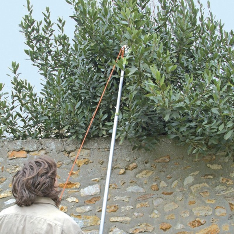 ECHENILLOIR + SAW + HANDLE