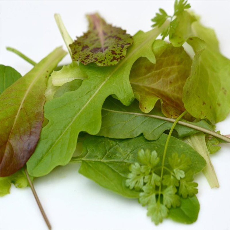 RUBAN DE 300 GRAINES MESCLUN NICOIS 0.7g