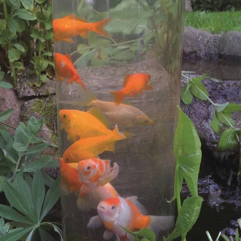 1372160 VIRAR PARA O PEIXE 50 - REDONDO 50CM