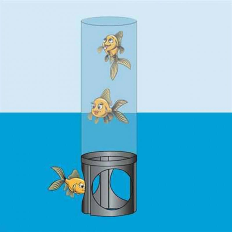 1372160 TURN TO FISH 50 - ROUND 50CM