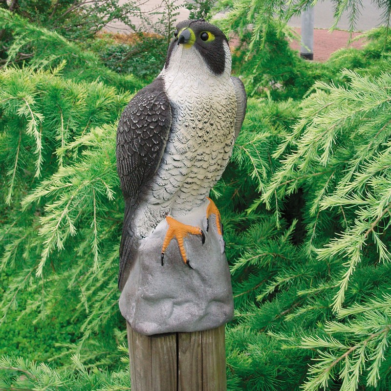 1382522 FALCON - H40 CM