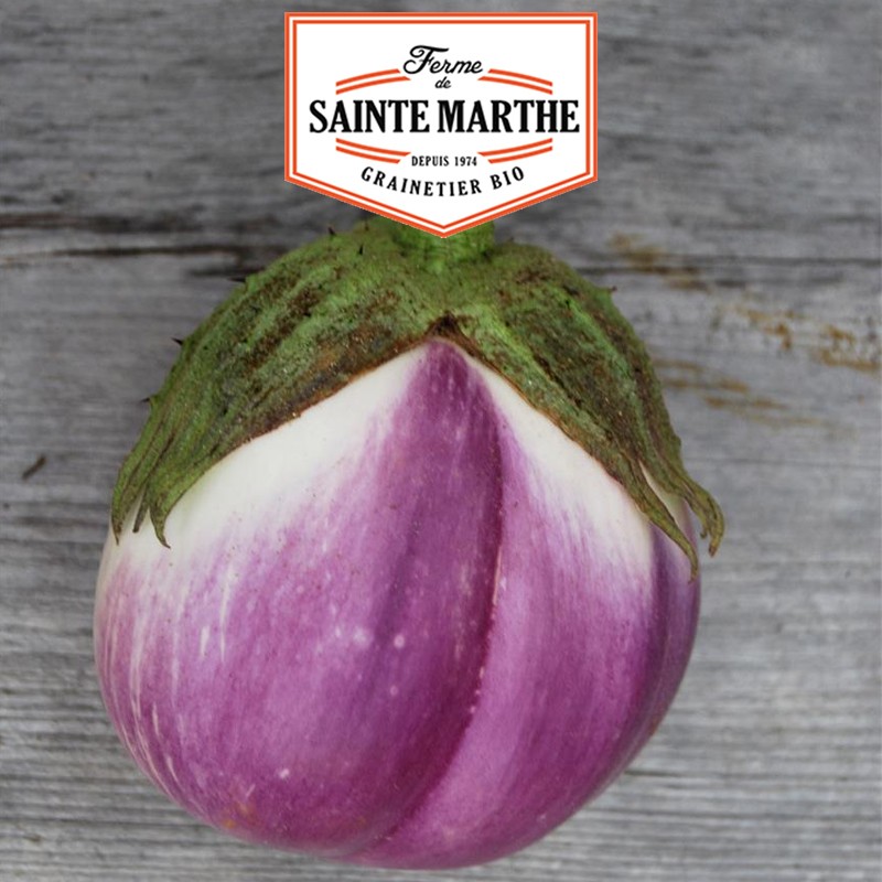 Der Bauernhof Sainte Marthe - 50 Samen Aubergine Violetta di Firenze