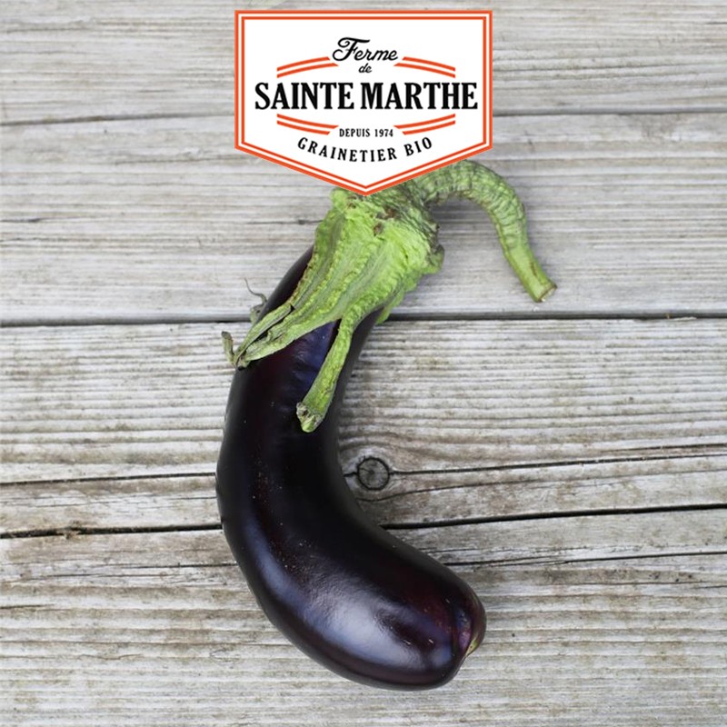 La ferme Sainte Marthe - 50 semi Melanzane di Barbentane