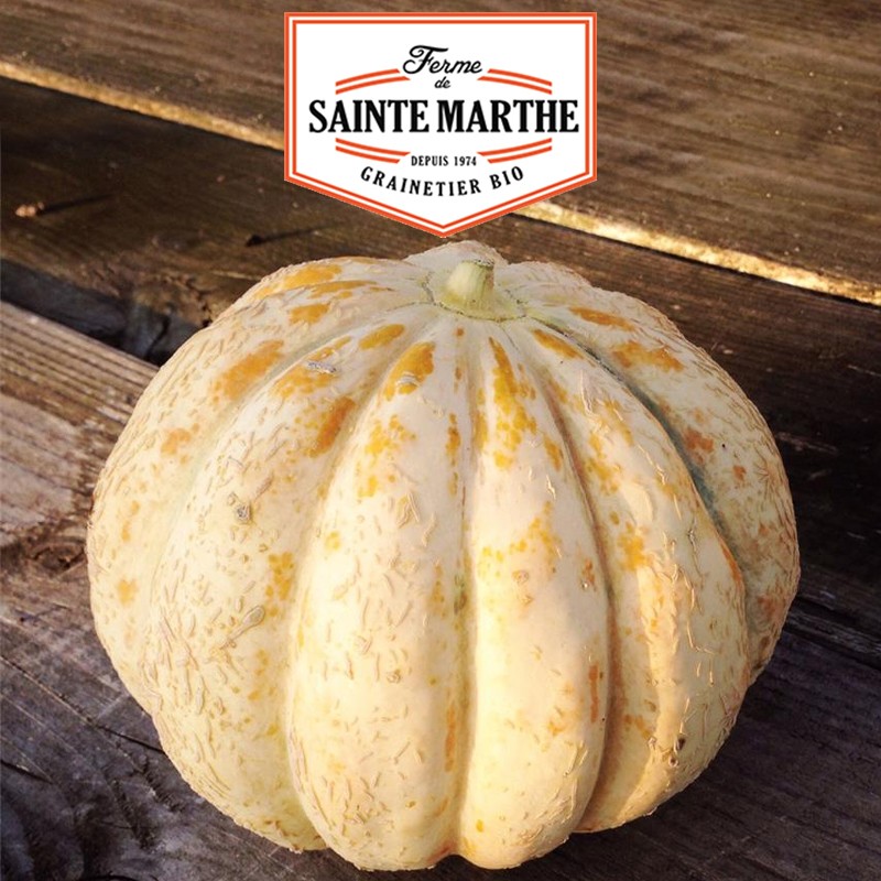 La ferme Sainte Marthe - 15 sementes Melon Délice de la table