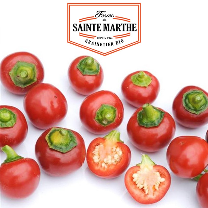 La ferme Sainte Marthe - 30 semi Peperone Rosso Piccolo