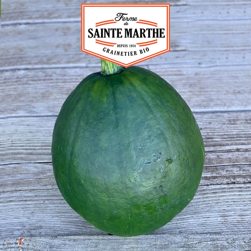 La ferme Sainte Marthe - 15 semi di zucca peruviana