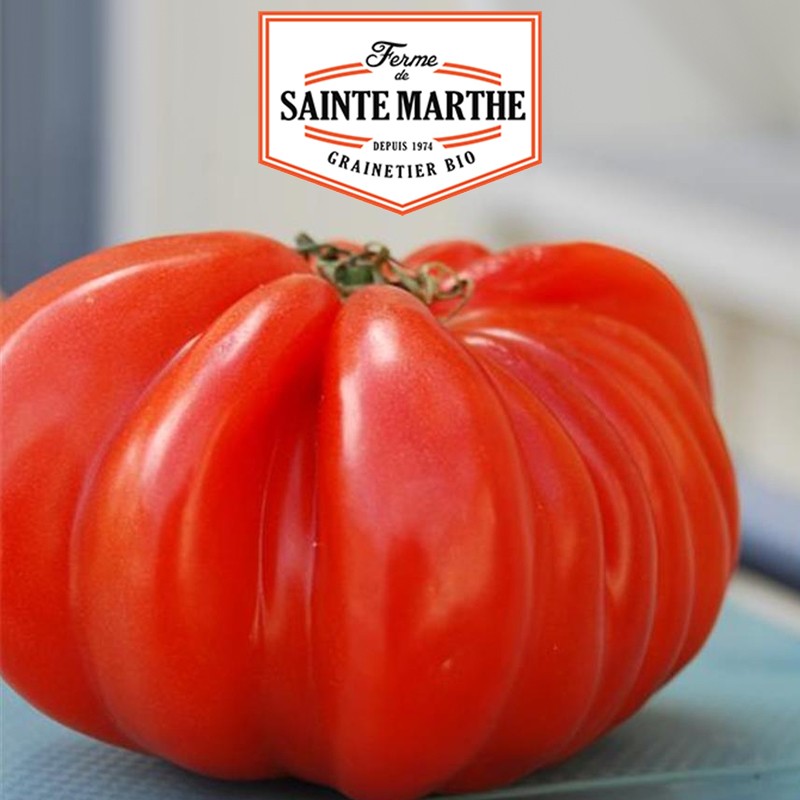 La ferme Sainte Marthe - 50 seeds Beefsteak tomato