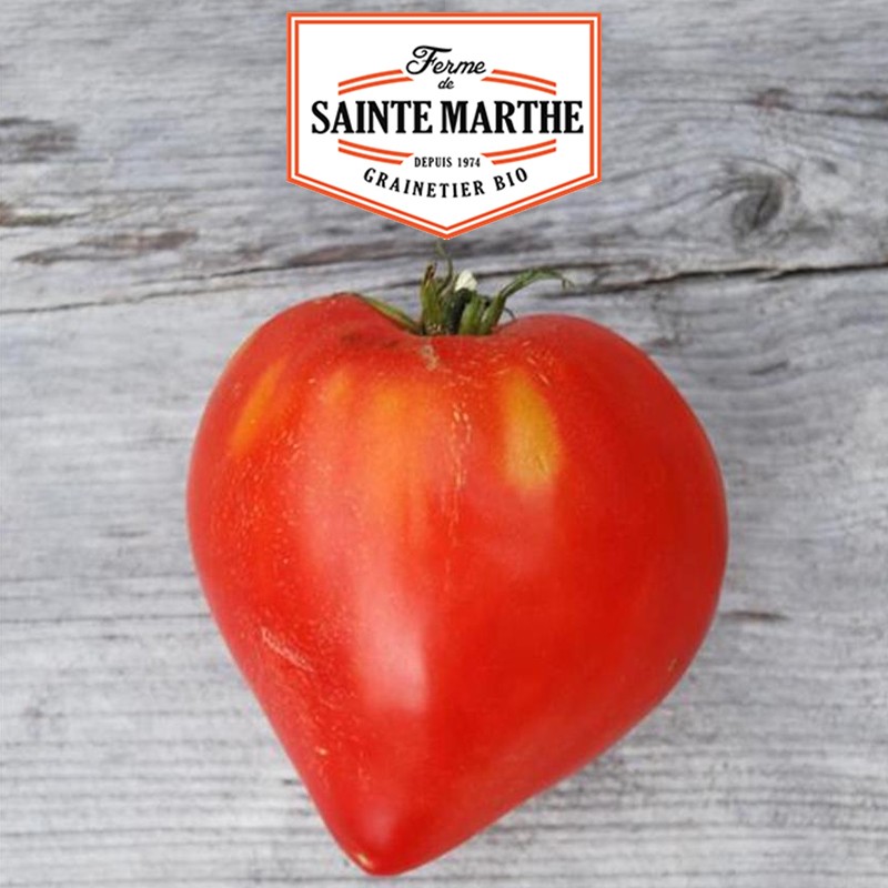La ferme Sainte Marthe - 50 Samen Herz Tomate