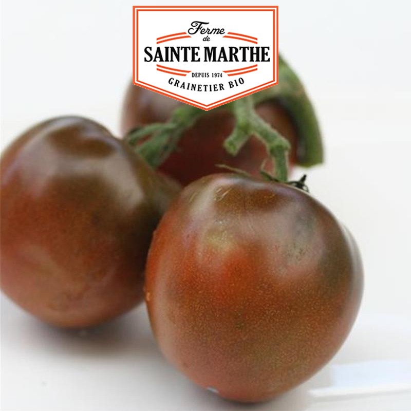 La ferme Sainte Marthe - 50 semi Pomodoro nero russo
