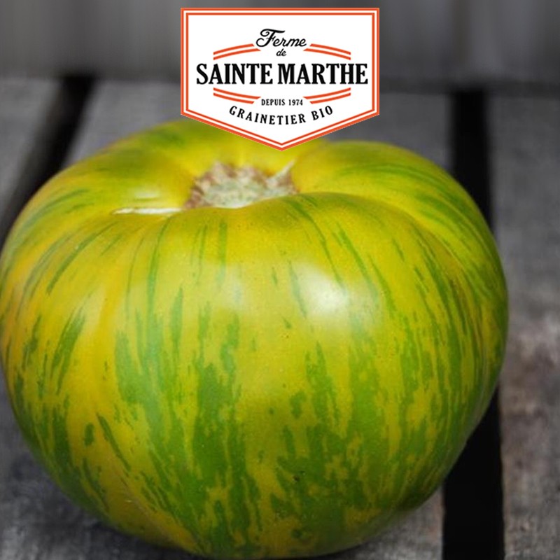 La ferme Sainte Marthe - 50 Samen Tomate Green Zebra