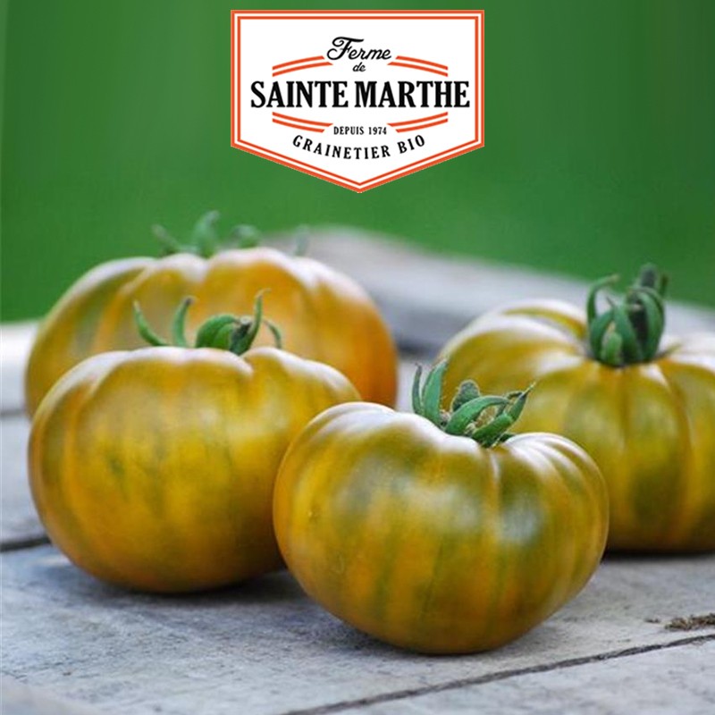 La ferme Sainte Marthe - 50 seeds Evergreen Tomato