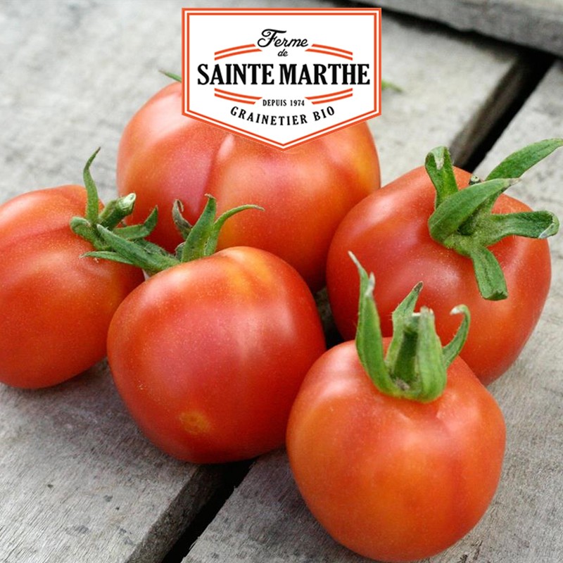La ferme Sainte Marthe - 50 semillas Tomate Melocotón