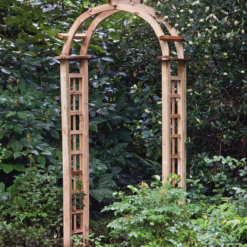 Tuindeco - Conjunto completo para pérgula arqueada - W120 X D54 X H254 cm