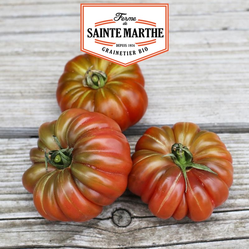La ferme Sainte Marthe - 50 semi Pomodoro viola Calabash