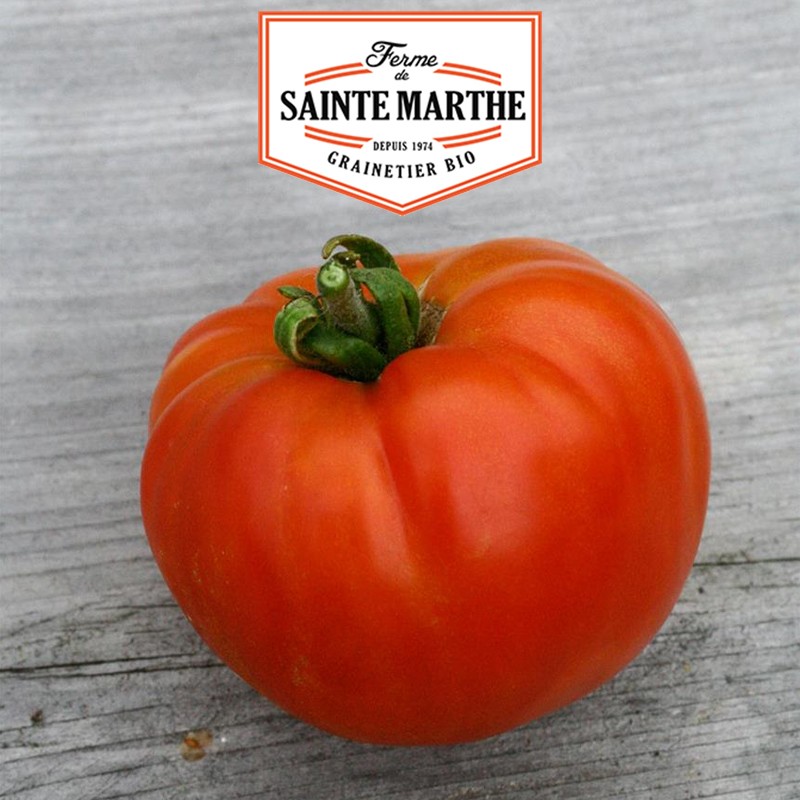 La ferme Sainte Marthe - 50 seeds Tomate Reine