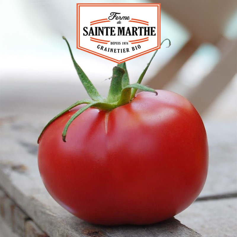 La ferme Sainte Marthe - 50 semillas Tomate rosa de Berna