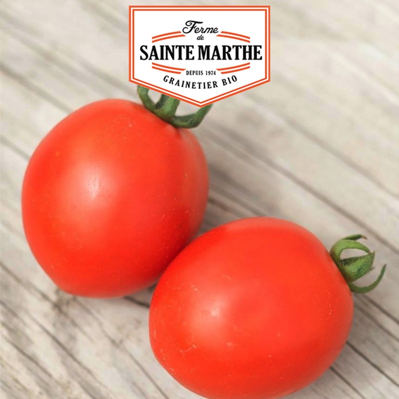La ferme Sainte Marthe - 50 semillas de tomate siberiano