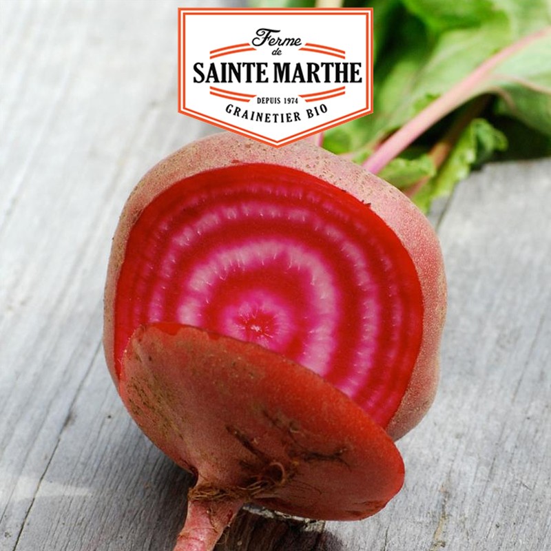 La ferme Sainte Marthe - 150 seeds Beetroot Chioggia