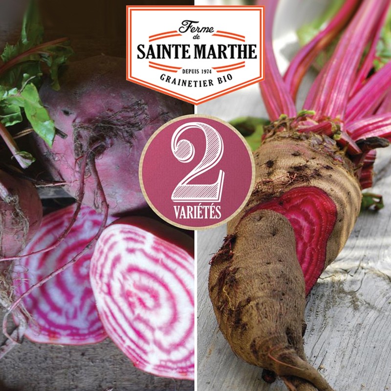 La ferme Sainte Marthe - 150 zaden Bietenmix: Crapaudine, Chioggia