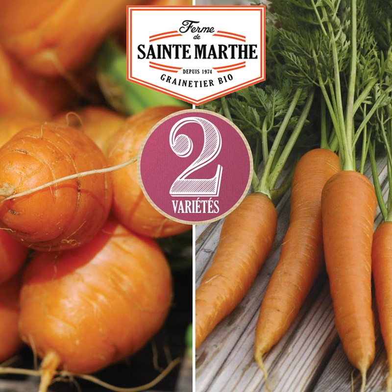 La ferme Sainte Marthe - 1,500 seeds Carrot mix: Marché de Paris 3, Nantaise 2