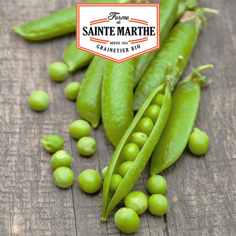 La ferme Sainte Marthe - 10 grammes Pois Nain Douce Provence Grain Rond à Ecosser