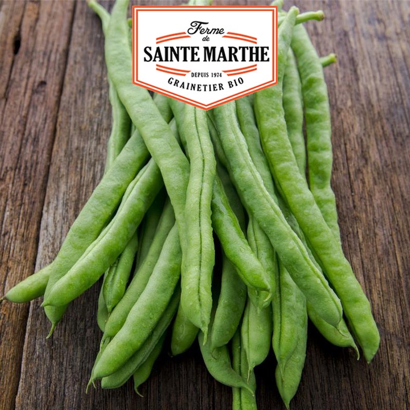 La ferme Sainte Marthe - 80 grammes Haricot à Rames Neckarkonigin Mangetout