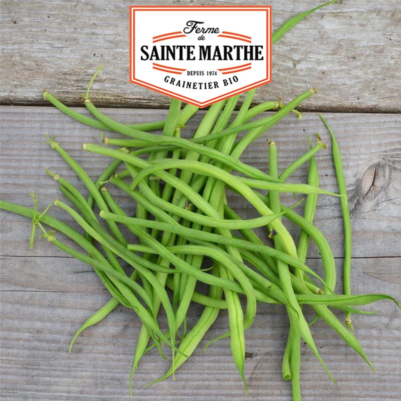 La ferme Sainte Marthe - 80 grams Haricot Nain Aiguillon Filet Mangetout