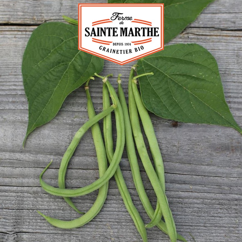 La ferme Sainte Marthe - 80 grammes Haricot Nain Cupidon Filet sans Fil Mangetout