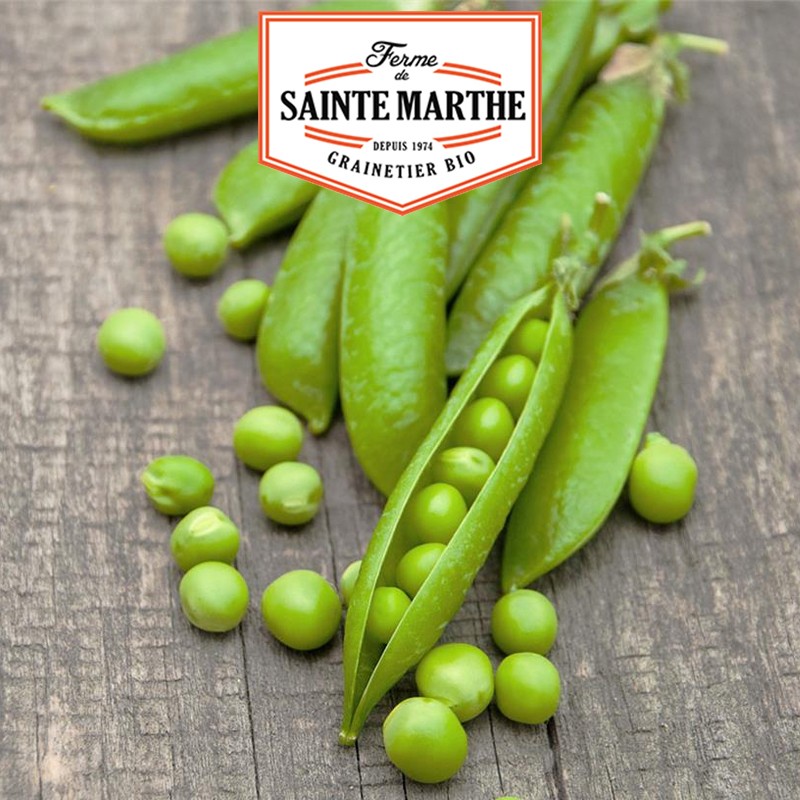 La ferme Sainte Marthe - 80 grammes Pois Nain Douce Provence Grain Rond à Ecosser