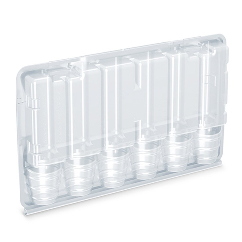 Caja de transporte transparente para 6 esquejes - 320 x 200 x 50 mm