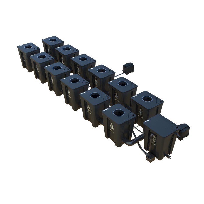Idrolab - Système RDWC 2 rangs original 12+1 avec diffuseur Tuboflex