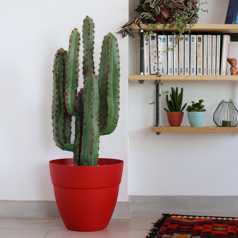 13560 R.RU POT CANCUN 30CM ROUGE RUBIS 11.7L 29,5X25,5CM