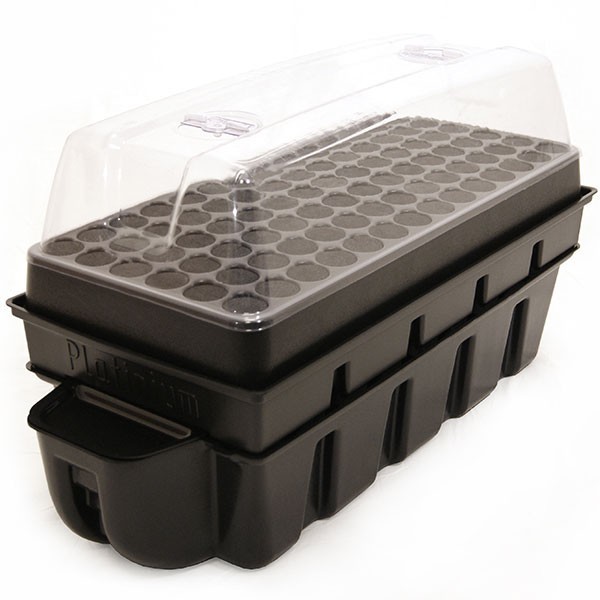 Platinium - SuperCloner 84 plantas com Dome - Propagação aeropónica