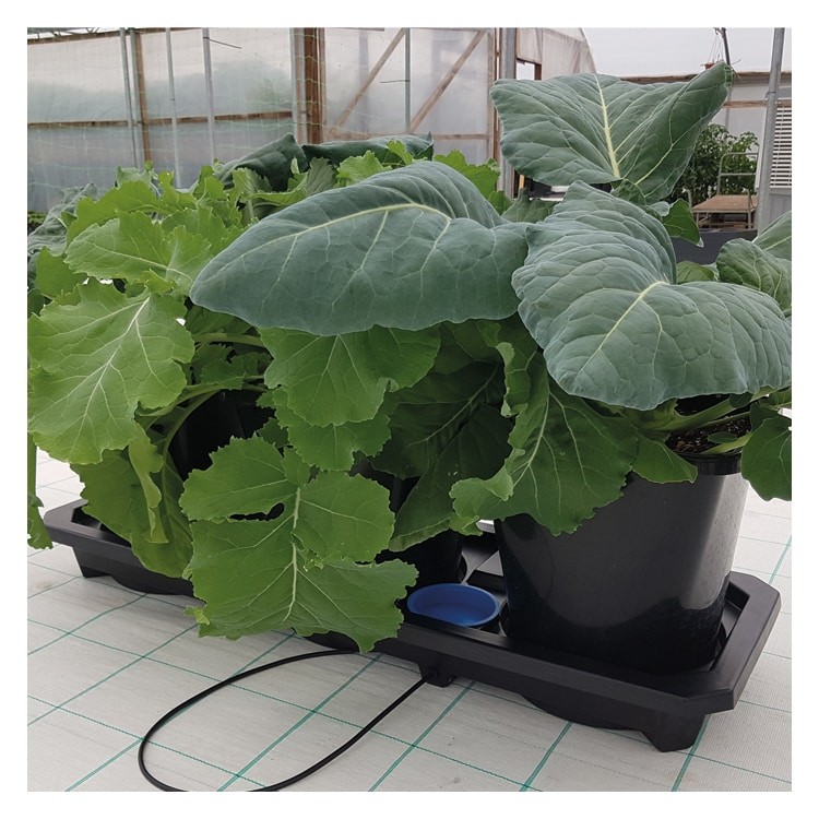 AUTO3 XL SYSTEM - WITH 25LTR POT