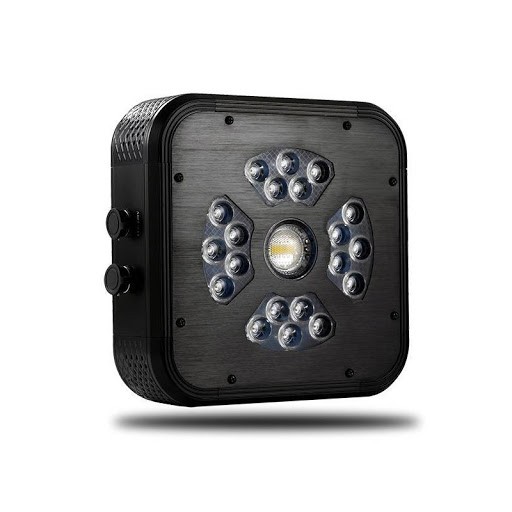 Flora Led - Bloomled - SpectraModule X135
