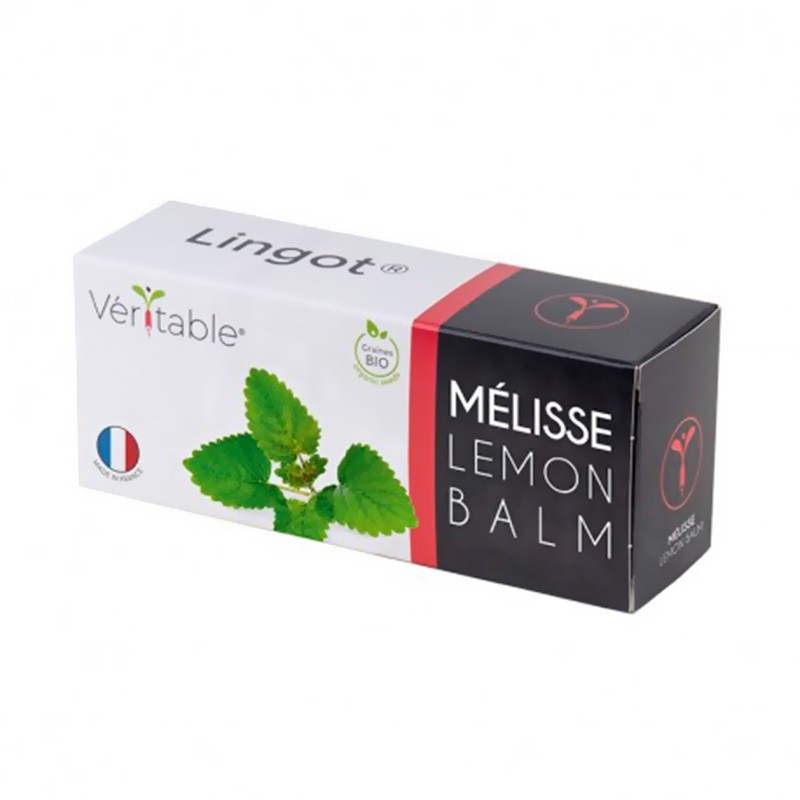 Véritable - Lingot Melisse bio - Samen in gebrauchsfertiger Nachfüllpackung